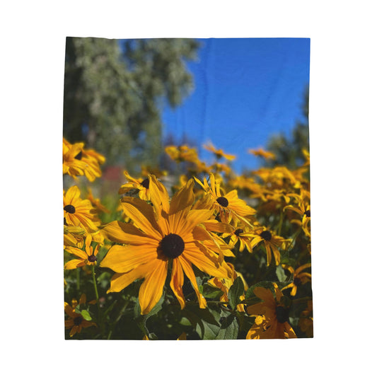 Velveteen Plush Blanket